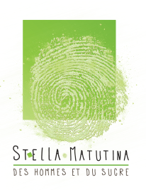 stella-matutina